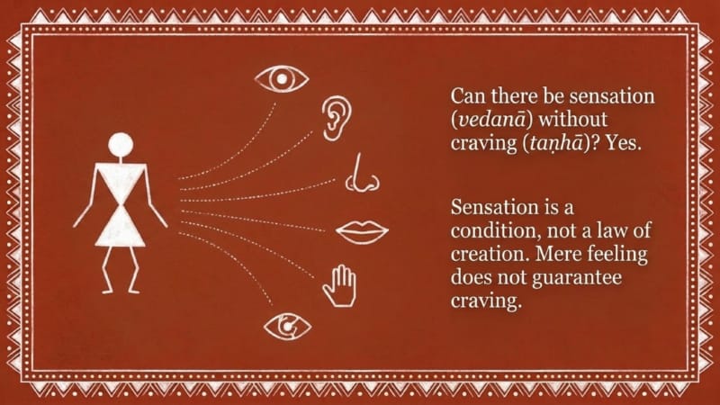 10-Sensation-04