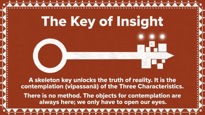 13-Insight-11