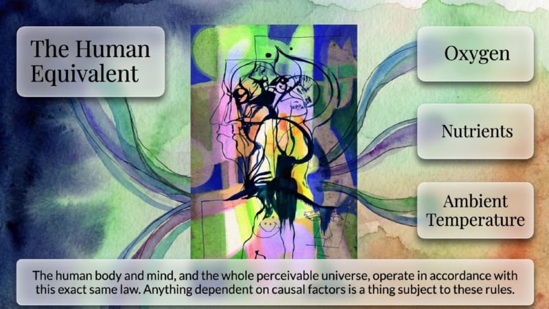 04-The-Universal-Law-of-Nature-06