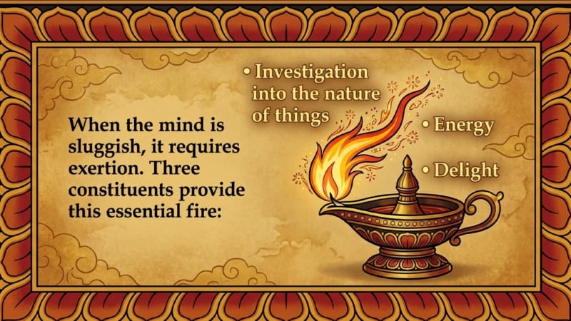 00-Seven-Facets-of-Insight-07