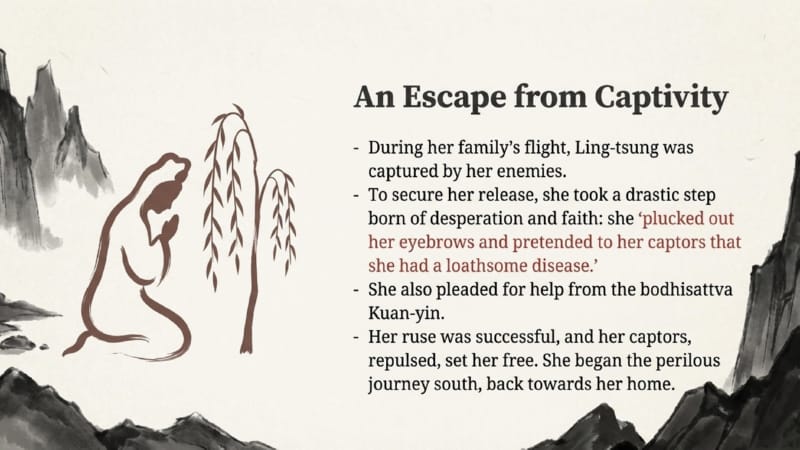 048 Escape from Captivity