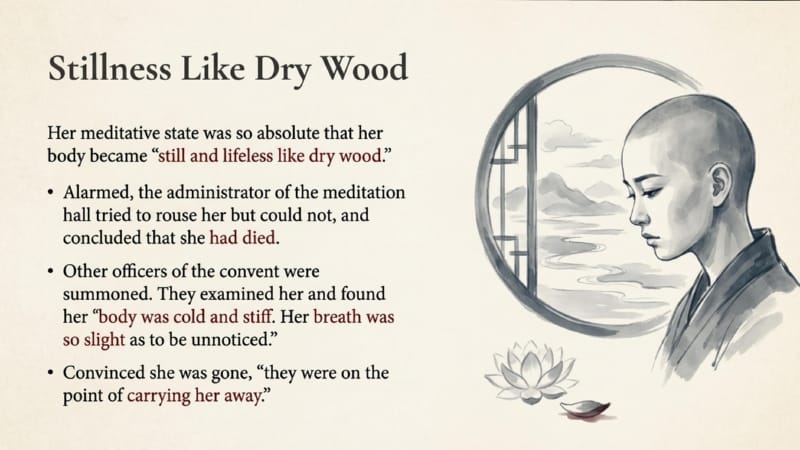 096 Like Dry Wood
