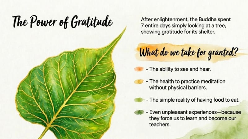 GW-2-01-Integrating-Meditation-13