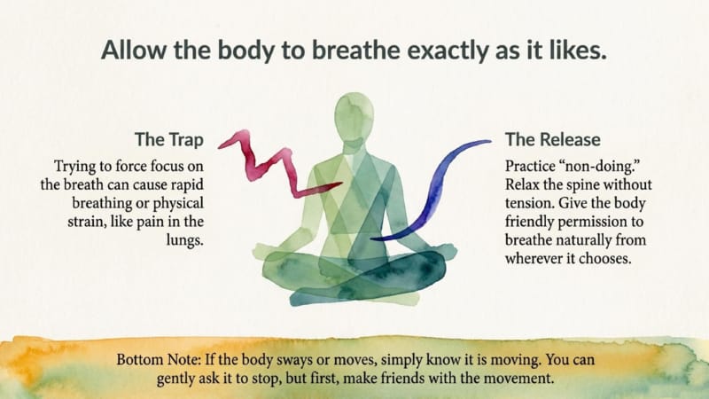 GW-2-02-Meditation-in-Daily-Life-06