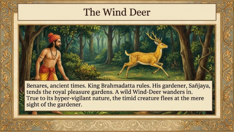 014-The-Wind-Deer-01