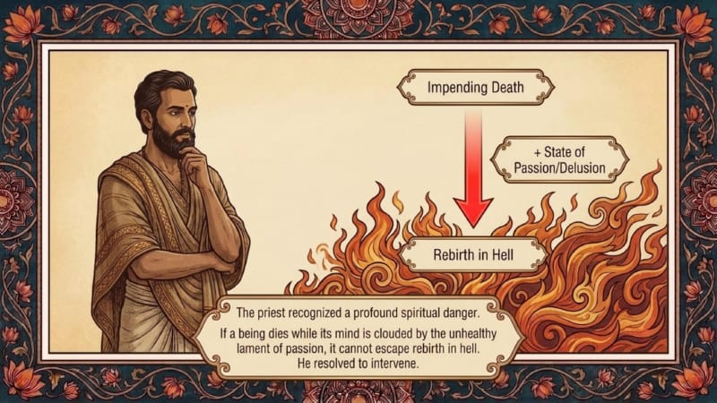034-The-Amorous-Fish-09