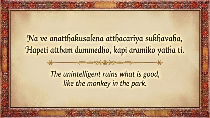 046-The-Folly-of-the-Monkeys-12