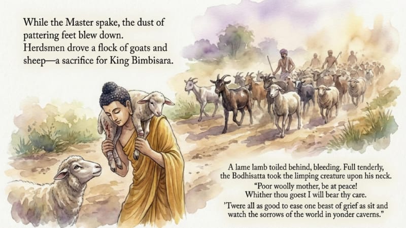 Light-of-Asia-05-06