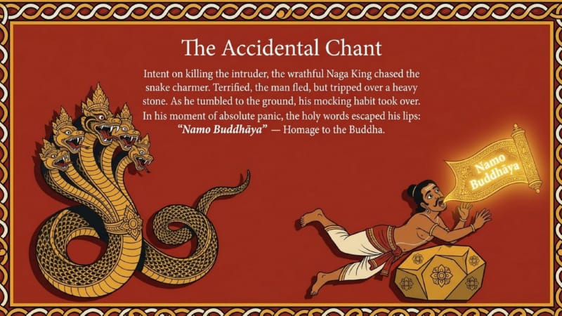 05-The-Snake-Charmer-05