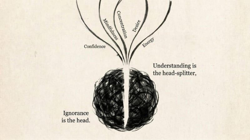 00-Introduction-36